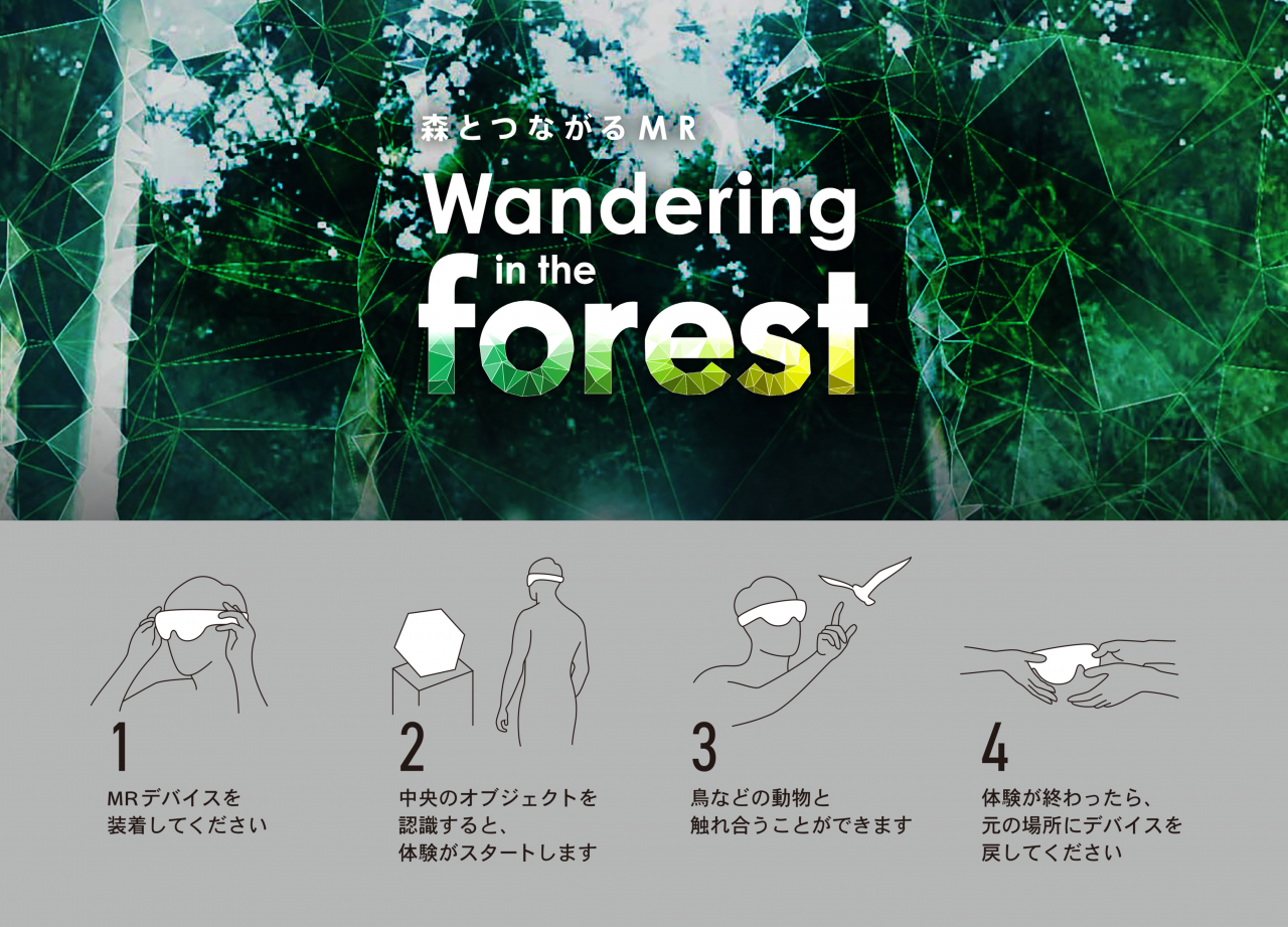 森とつながるMR　Wandering in the forest